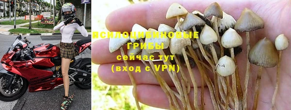 меф Алзамай