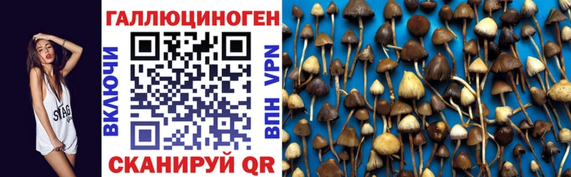 Псилоцибиновые грибы ЛСД  что такое наркотик  Покачи 